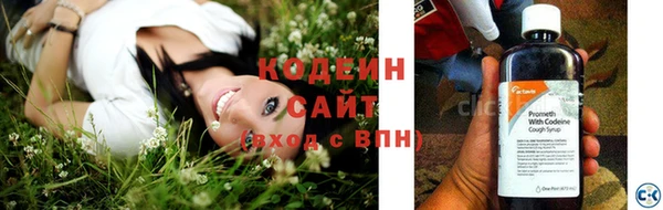 apvp Костерёво