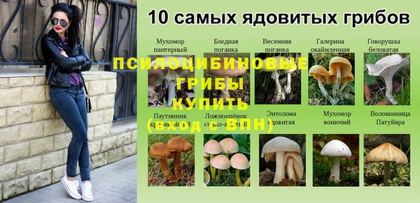 apvp Костерёво