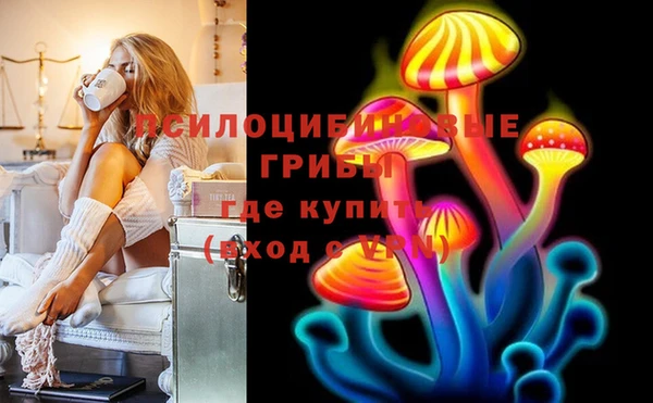 apvp Костерёво